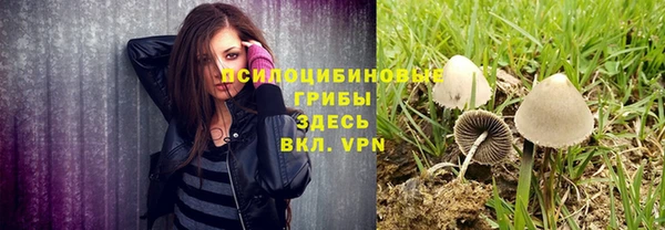 apvp Алзамай
